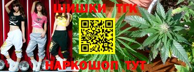 бошки Гагарин