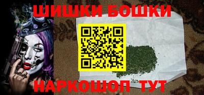бошки Гагарин