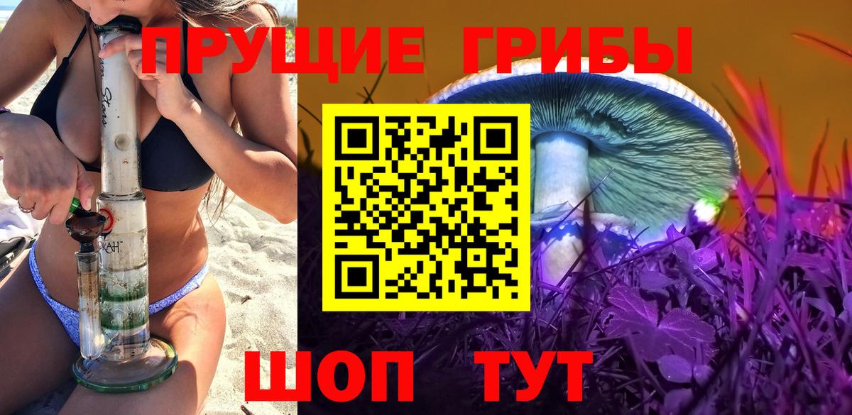 Сердобск  Галлюциногенные грибы мицелий  Псилоцибиновые грибы Magic Shrooms  сколько стоит  Вход с VPN 