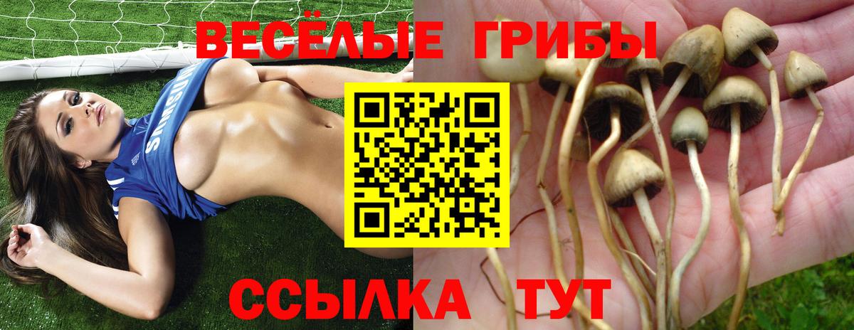 АМФ кристаллы  КОКАИН  ГАШ  МЕФ   Вход с VPN  Сердобск  Канабис  Cocaine  Меф МЯУ МЯУ  МЕТАМФЕТАМИН 