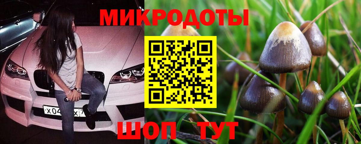 Галлюциногенные грибы ЛСД Сердобск